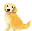 image2078.gif