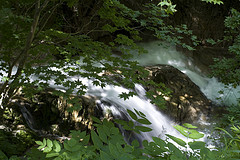 water4.jpg