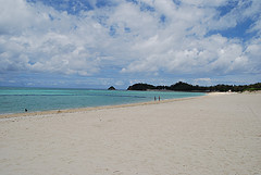 okinawaokumabiti.jpg